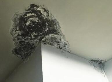 屋面漏水是由什么原因造成的?地震對于防水層的影響大么?